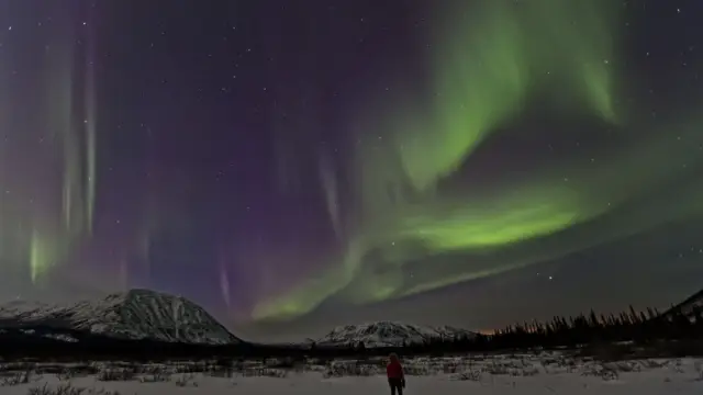 Aurore boréale - Annie lake area, Yukon