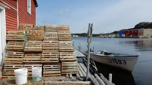 Port de pêche à Terre-Neuve au Canada
