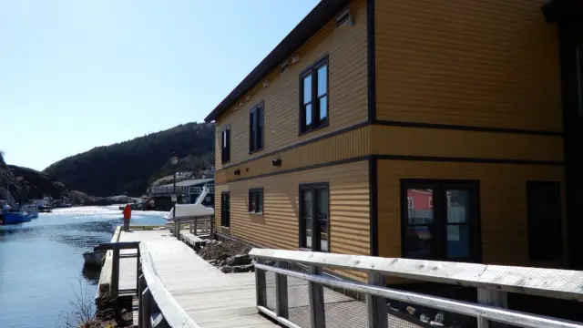 Quindi Vidi à St John's au Canada