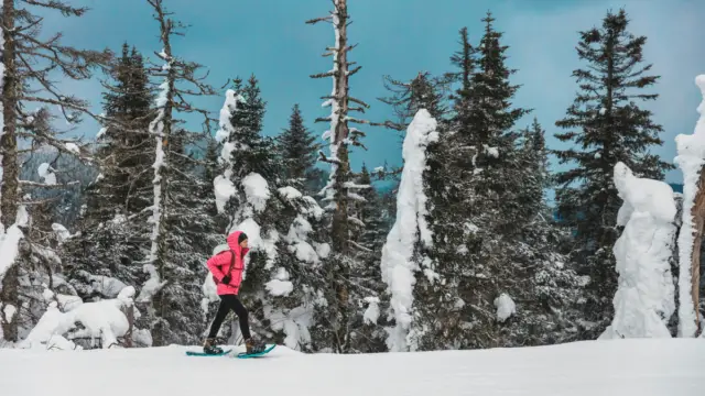 Raquettes Canada
