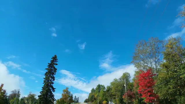 Route du fleuve au Canada