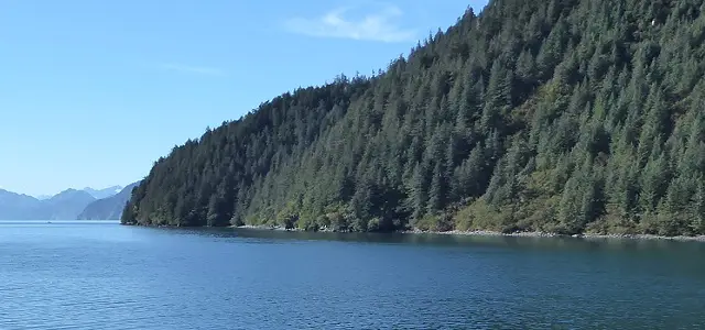 Paysage en Alaska avec de l'eau