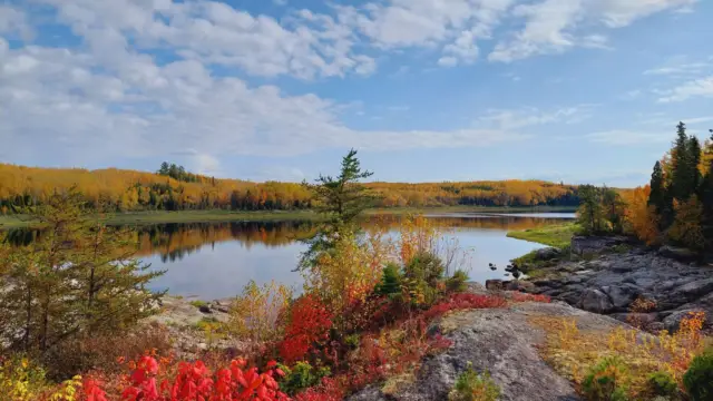 Lac Saint Jean