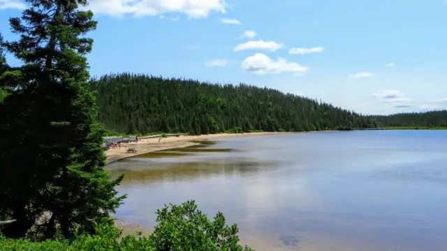 Parc Terra Nova à Terre-Neuve au Canada