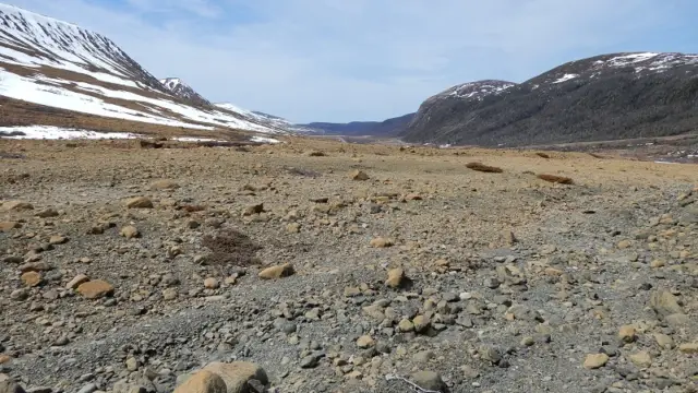 Nature de Terre-Neuve au Canada