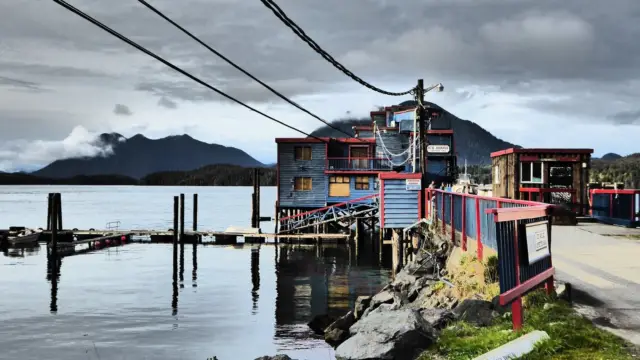 Tofino
