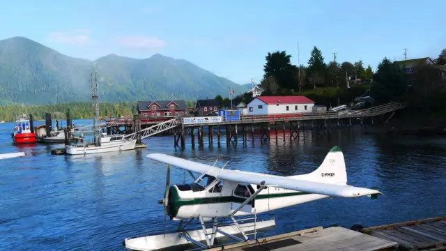 Tofino