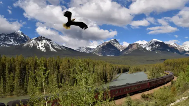 Train roulant dans la nature avec un aigle qui vole