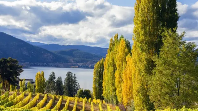 Vallée de l'Okanagan