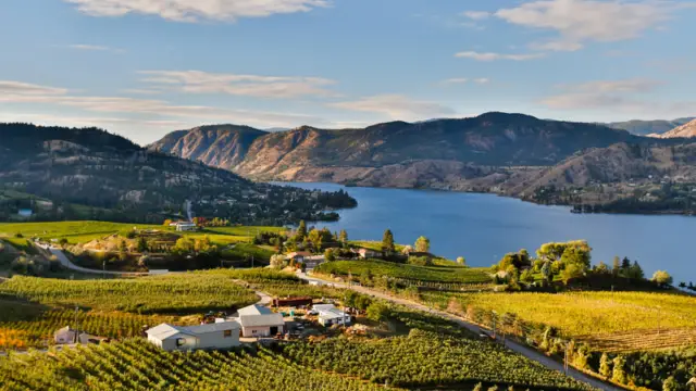 Vignoble de Okanagan au Canada 