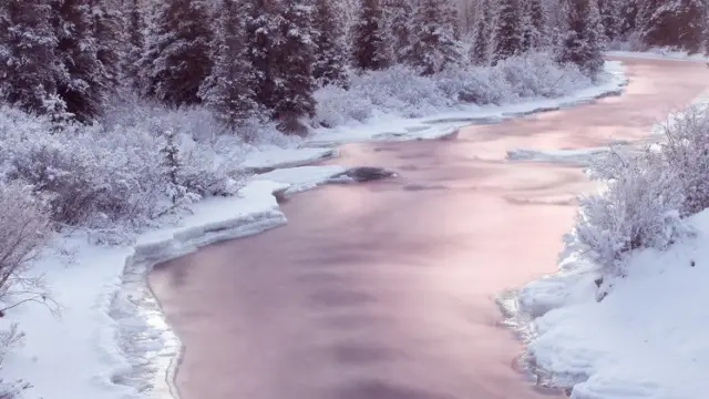 river Yukon